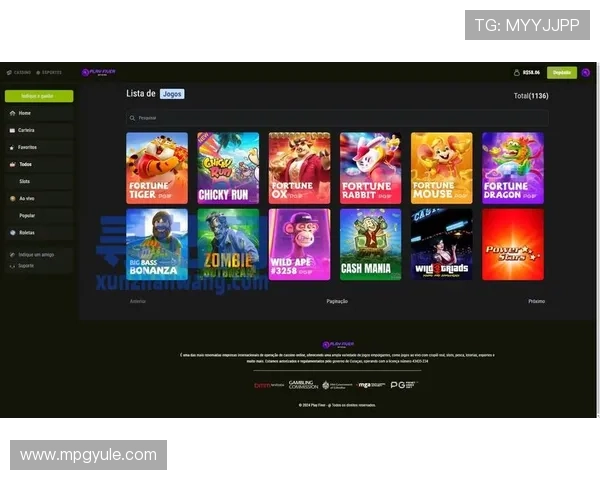 PG国际008下载新平台浏览指南，助你轻松掌握新版品牌.org的操作流程与特色功能