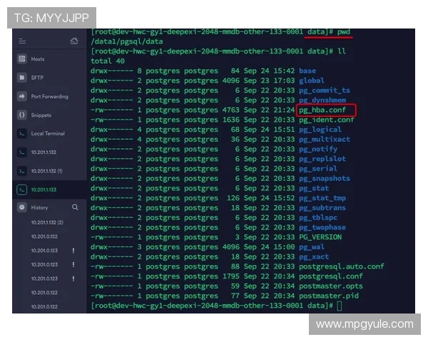 PG电子滚球设置常见问题解答，解决玩家在操作中遇到的各种困扰